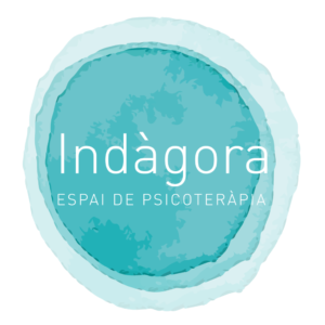 Logo-9_Indagora-300x300